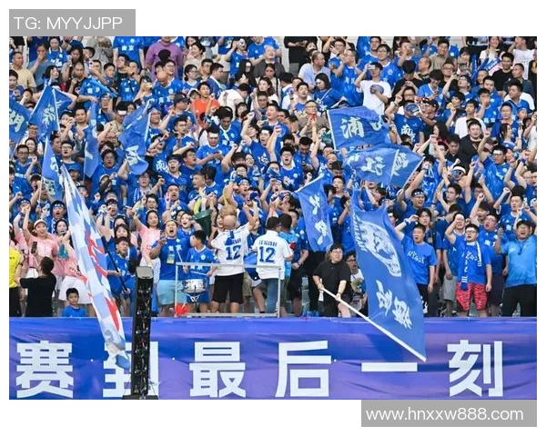 南京排球队实力大变革引发热议球迷期待新篇章