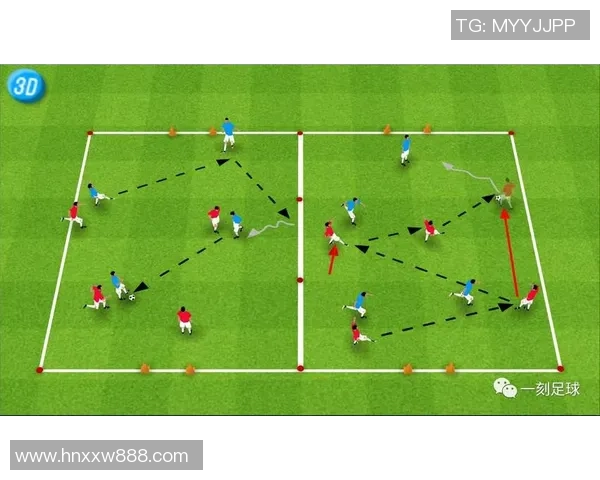 杭州足球队实力揭秘：从青训到职业联赛的全景分析与展望